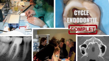 Cycle Endodontie 2021-2022